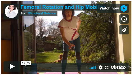 Femoral Rotation Hip Mobility Image